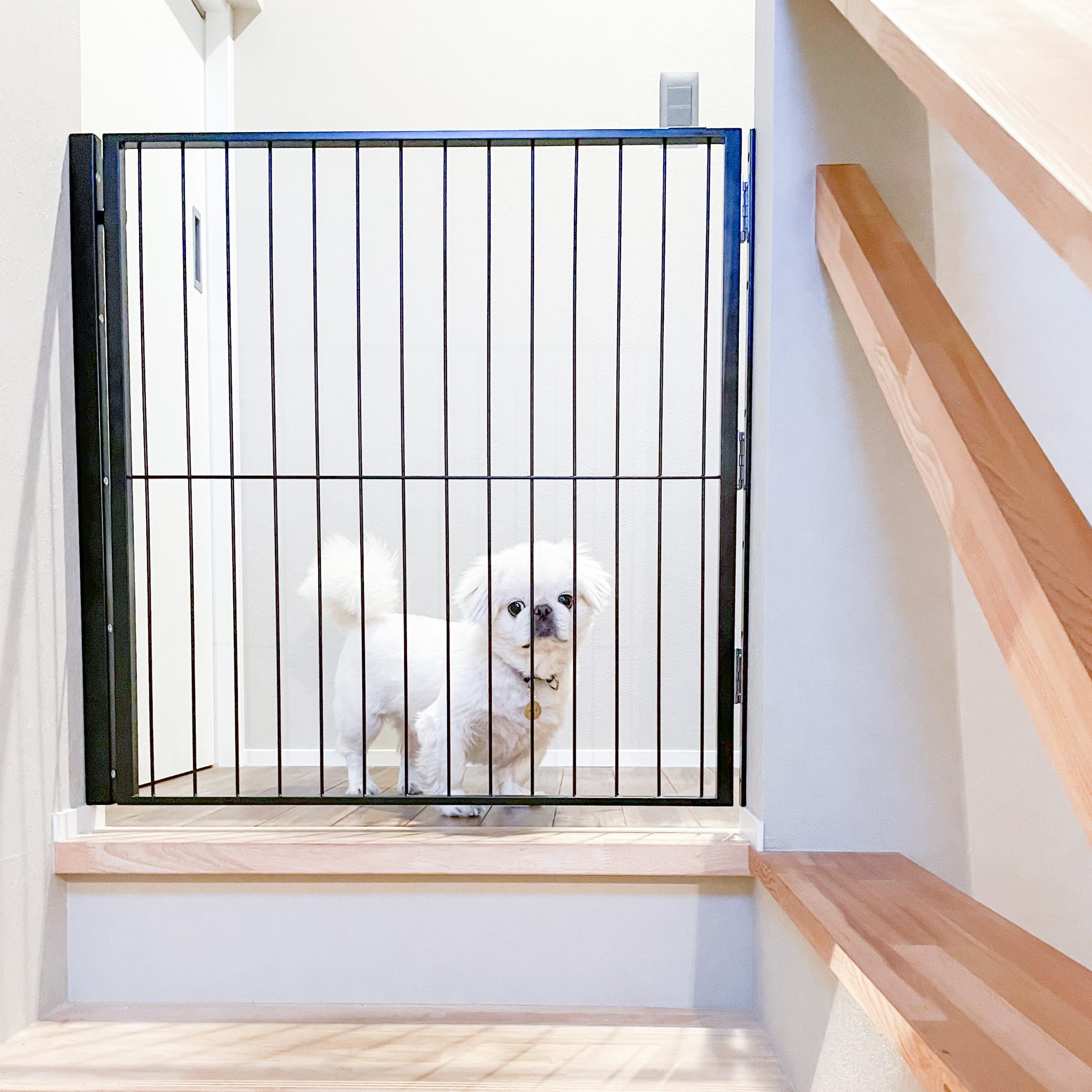 階段上に設置するゲート扉 - おしゃれで丈夫な犬猫用ペットケージ