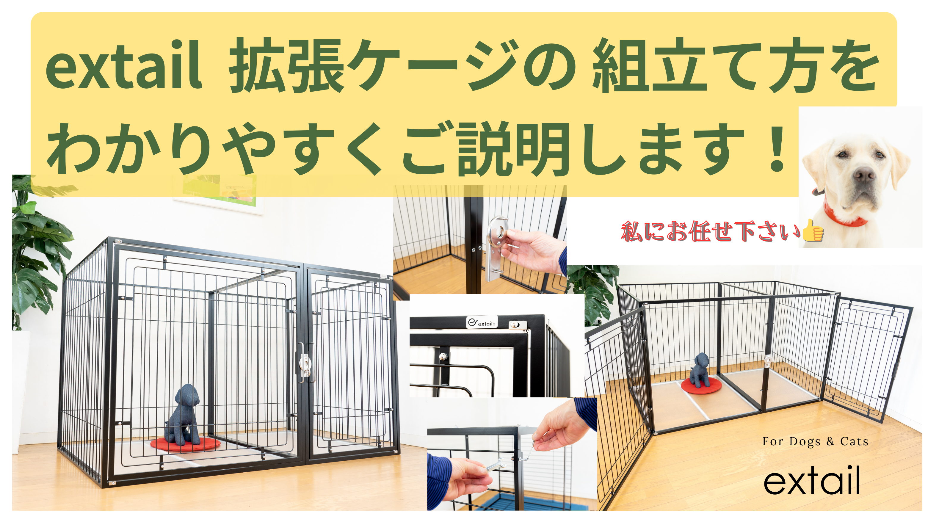 extail拡張ドッグケージの組立て方をわかりやすくご説明します