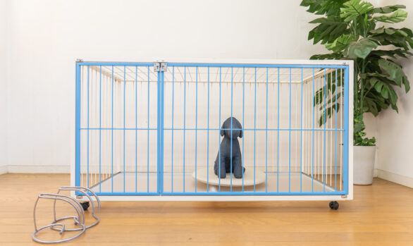 水色のペットケージ小型犬