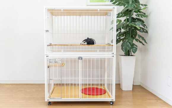 自動トイレを設置するキャットケージ