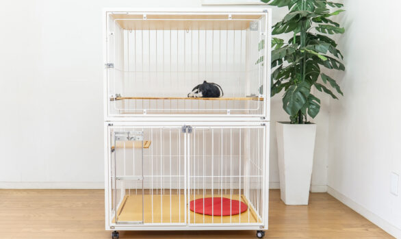 自動トイレを設置するキャットケージ