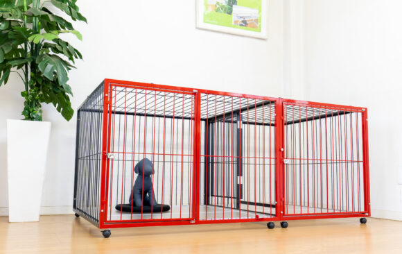 赤と黒のツートンカラーのケージ