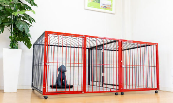 赤と黒のツートンカラーのケージ