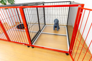 犬の仕切りドアのあるケージ